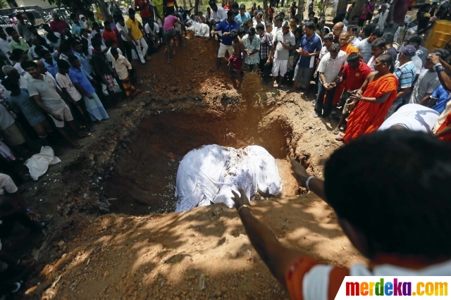 Foto Pemakaman Gajah Sri Lanka Diwarnai Isak Tangis Kematian Hemantha