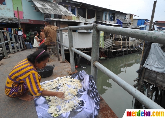 Foto : Melihat lebih dekat Kampung Akuarium yang akan ...