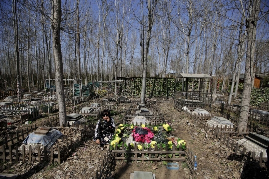 Mengunjungi tempat pemakaman hewan peliharaan di Beijing
