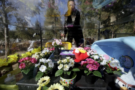 Mengunjungi tempat pemakaman hewan peliharaan di Beijing