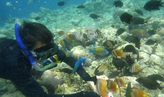 Menjelajahi pesona keindahan bawah laut Taman Nasional Bunaken