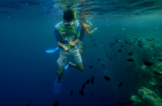 Menjelajahi pesona keindahan bawah laut Taman Nasional Bunaken