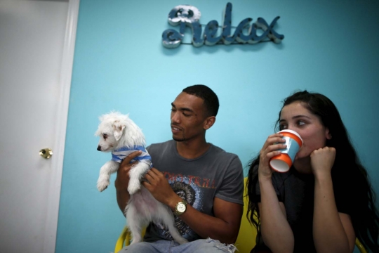 Mengunjungi uniknya kafe anjing pertama di Los Angeles