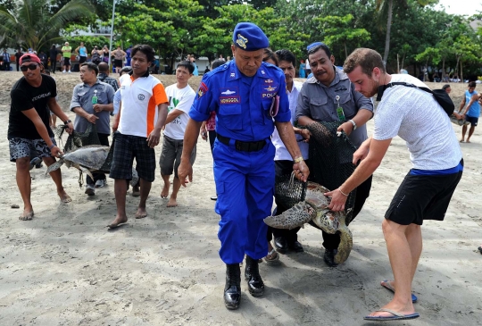 Ditpolair Polda Bali lepas 30 penyu hijau selundupan dari Madura
