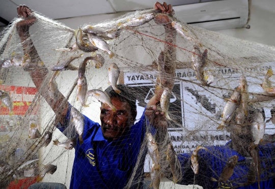 Nelayan tunjukkan hasil tangkapan ikan dari Teluk Jakarta