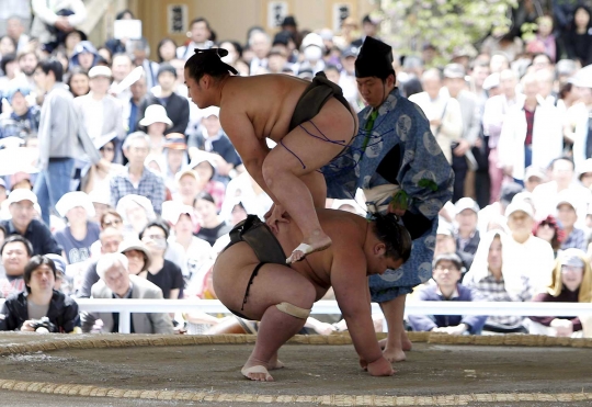 Melihat turnamen Sumo tahunan di Jepang