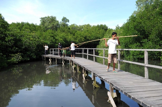 Jalan-jalan menelusuri keasrian hutan bakau di Denpasar