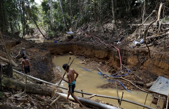 Meratapi kondisi Hutan Amazon rusak akibat keserakahan manusia