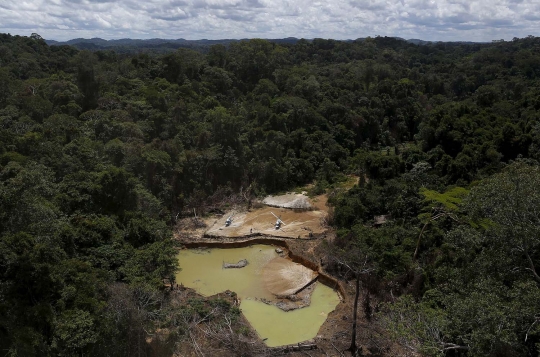 Meratapi kondisi Hutan Amazon rusak akibat keserakahan manusia