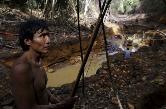 Meratapi kondisi Hutan Amazon rusak akibat keserakahan manusia