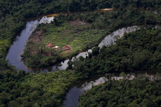 Meratapi kondisi Hutan Amazon rusak akibat keserakahan manusia