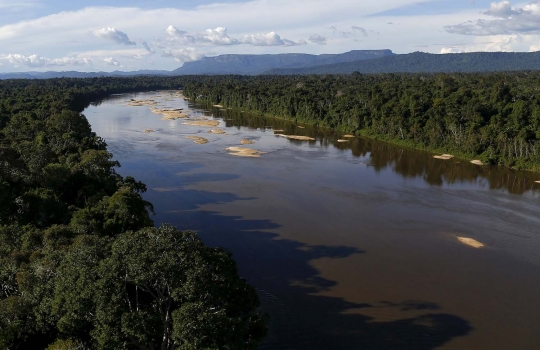 Meratapi kondisi Hutan Amazon rusak akibat keserakahan manusia