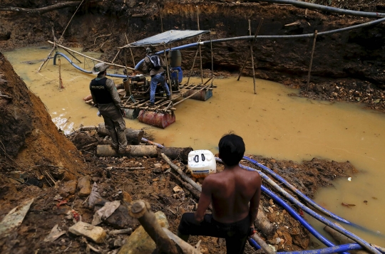 Meratapi kondisi Hutan Amazon rusak akibat keserakahan manusia