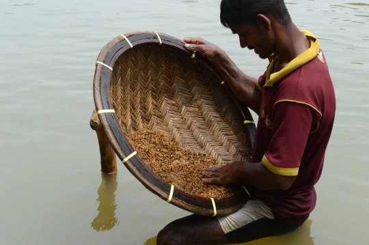 Kisah penambang batu permata di Sungai Hitam