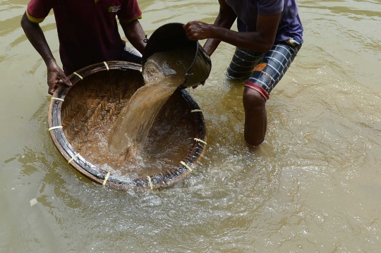 Kisah penambang batu permata di Sungai Hitam