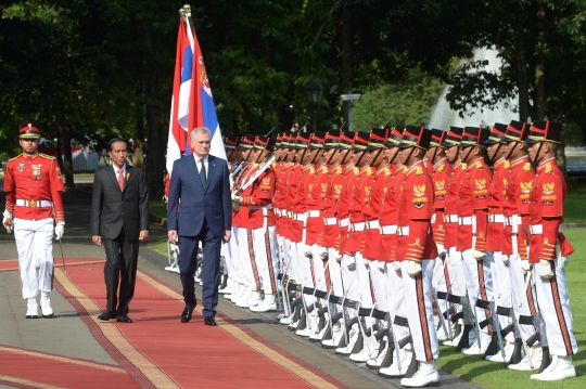 Keakraban Jokowi terima kunjungan Presiden Serbia di Istana