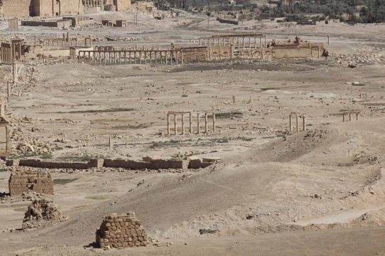 Memandang kerajaan kuno Palmyra dari kejauhan