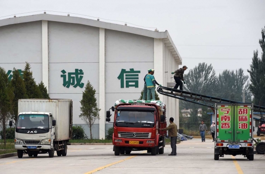 Mengintip produksi beras halal di China