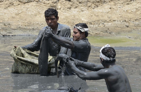 Berburu ratusan lele jumbo di danau kering India