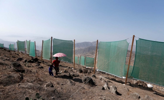 Jaring raksasa ini jadi sumber air bersih bagi warga Peru