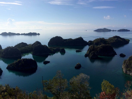 Menikmati keindahan alam Raja Ampat