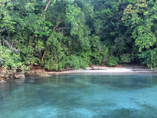 Menikmati keindahan alam Raja Ampat