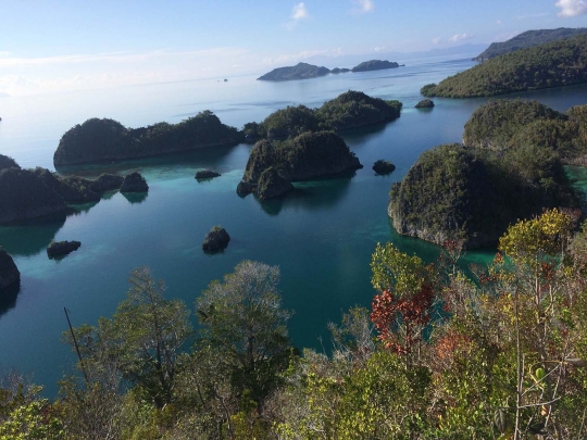 Menikmati keindahan alam Raja Ampat