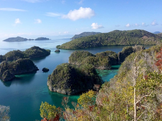 Menikmati keindahan alam Raja Ampat