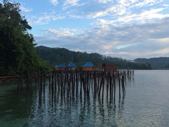 Menikmati keindahan alam Raja Ampat