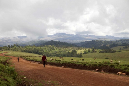 Menengok kehidupan suku penghasil madu di Gunung Olgen