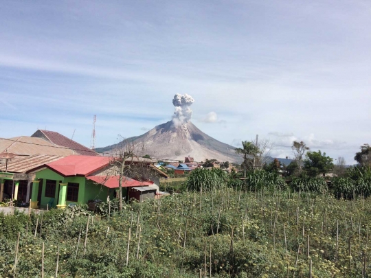 Menyaksikan dahsyatnya semburan awan panas Gunung Sinabung