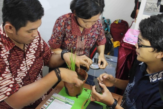 Mahasiswa Brawijaya buktikan tanaman padi bisa hasilkan listrik