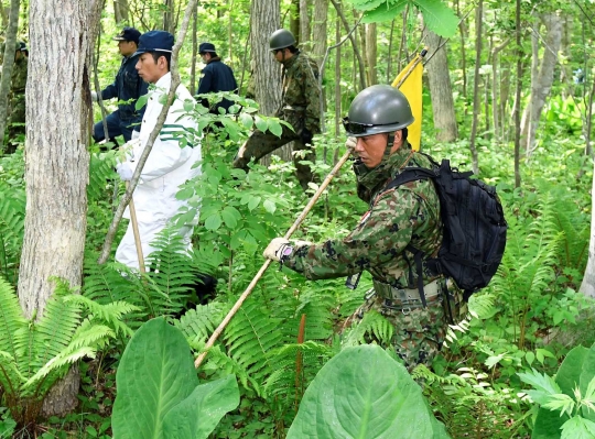 Ini hutan lebat lokasi hilangnya bocah 7 tahun di Jepang
