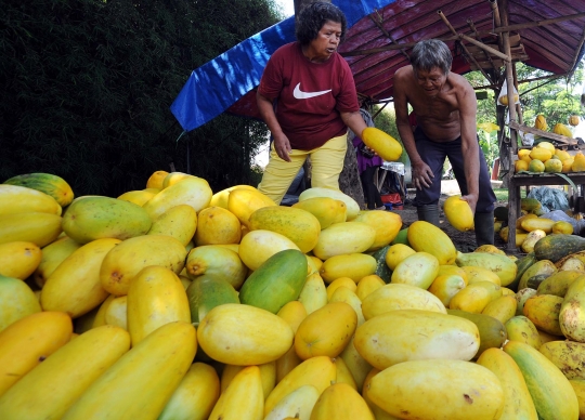 Berkah Ramadan bagi penjual timun suri