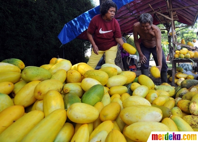 20160607141105 berkah ramadan bagi penjual timun suri 006 iqbal nugroho