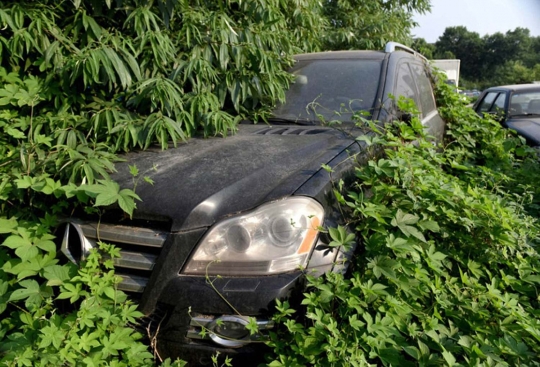 Tempat pembuangan mobil mewah di China ini bikin geleng kepala