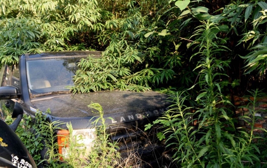 Tempat pembuangan mobil mewah di China ini bikin geleng kepala