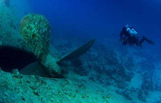 Ini 'harta karun' yang terpendam di dasar Laut Merah