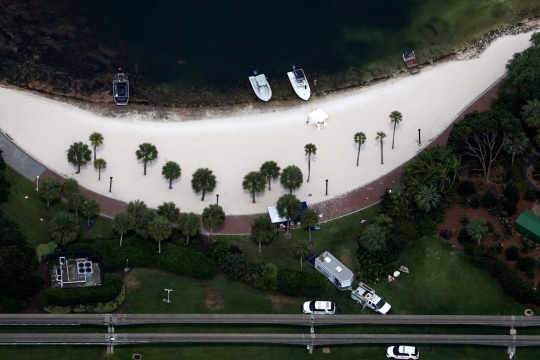 Ini laguna lokasi balita di Florida tewas dimangsa buaya