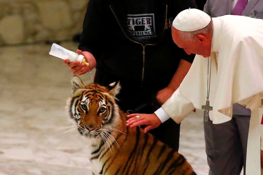 Reaksi Paus Francis ketika bertemu harimau