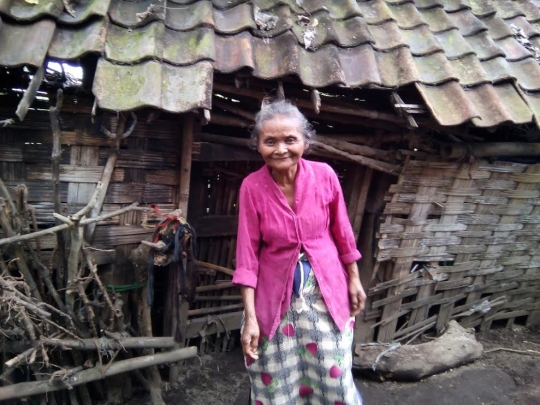 Beginilah kondisi kemiskinan Nenek Mujiati yang tinggal dengan ayam