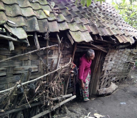 Beginilah kondisi kemiskinan Nenek Mujiati yang tinggal dengan ayam