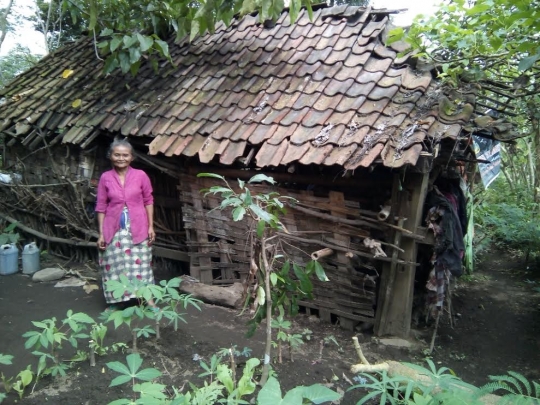 Beginilah kondisi kemiskinan Nenek Mujiati yang tinggal dengan ayam