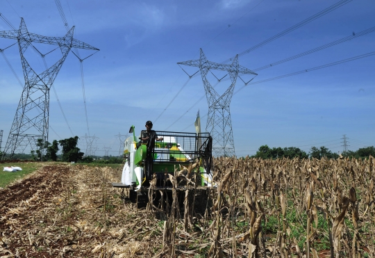 Mentan panen jagung pakai mesin traktor karya anak bangsa