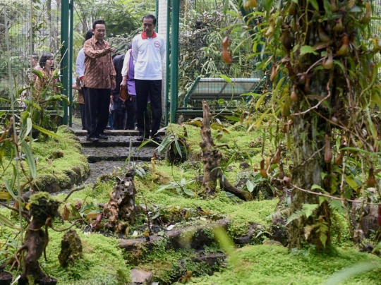 Intip Presiden Jokowi nikmati libur akhir pekan