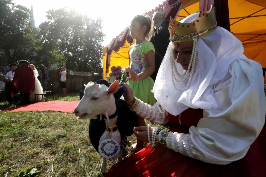 Kontes kambing tercantik di Lituania
