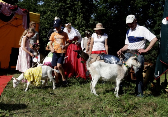 Kontes kambing tercantik di Lituania