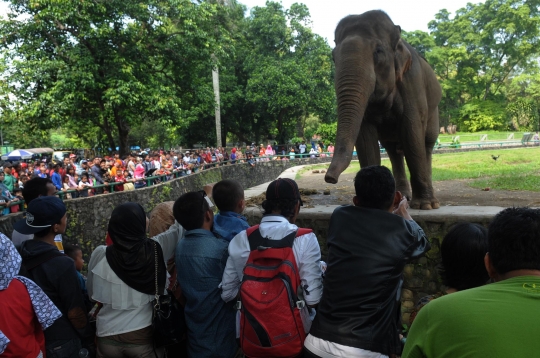 Keseruan mengisi libur Lebaran di Kebun Binatang Ragunan