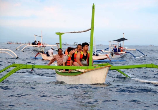 Berburu lompatan lumba-lumba di lepas Pantai Lovina