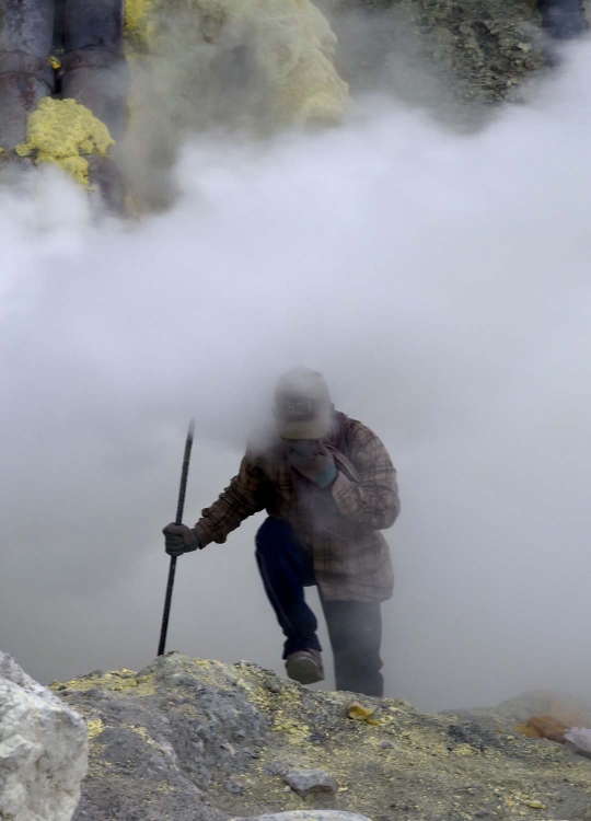 Perjuangan warga kaki Gunung Ijen bertahan hidup dari belerang